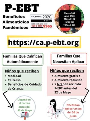 image of P-Ebt info in Spanish 